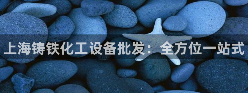 新城平台平台最新活动