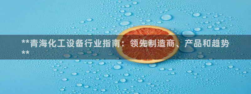 新城平台负责人名单