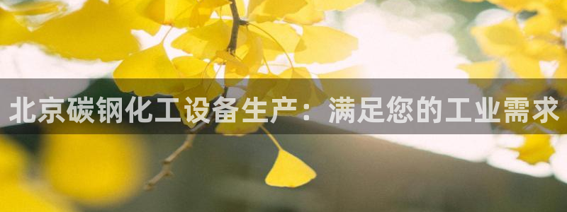 新城平台注册资金多少亿
