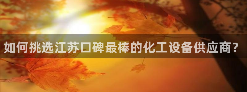 新城平台企业信息查询