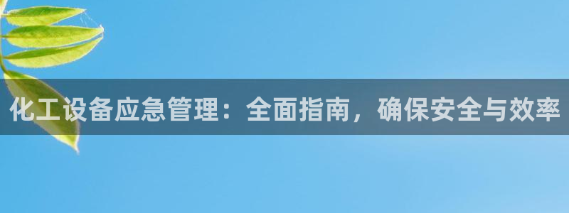 新城平台公司