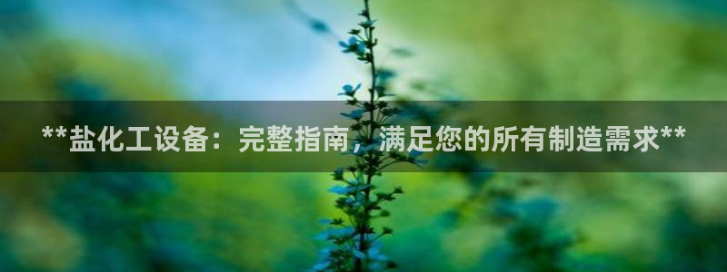 新城平台代理电话