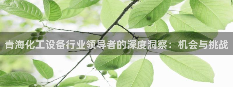 新城平台注册网址是多少