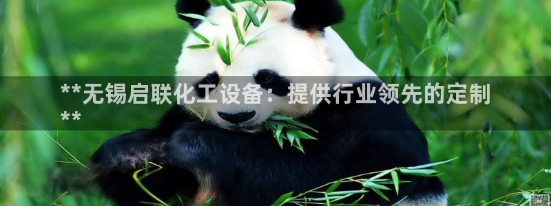 新城平台登录入口官网网址查询