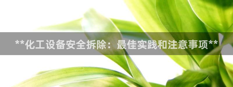 新城平台企业信息查询