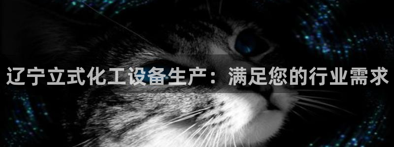新城平台登录密码忘了