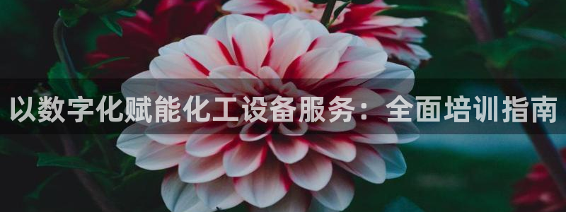 新城平台负责人名单