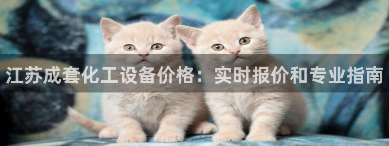 新城平台登录密码忘了怎么办