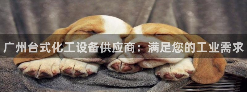 新城平台游戏