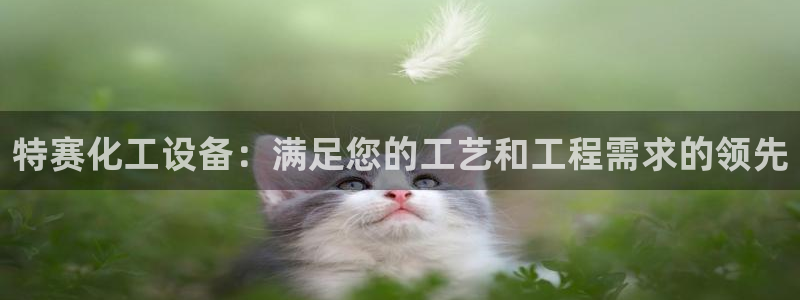 新城平台负责人