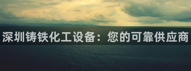 新城平台登录入口官网网址是什么