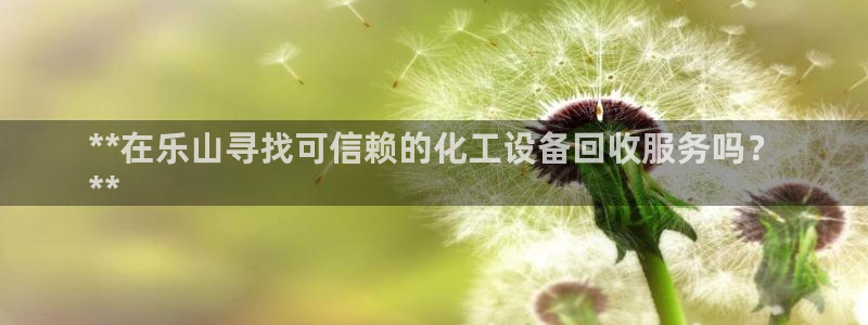 新城平台总代