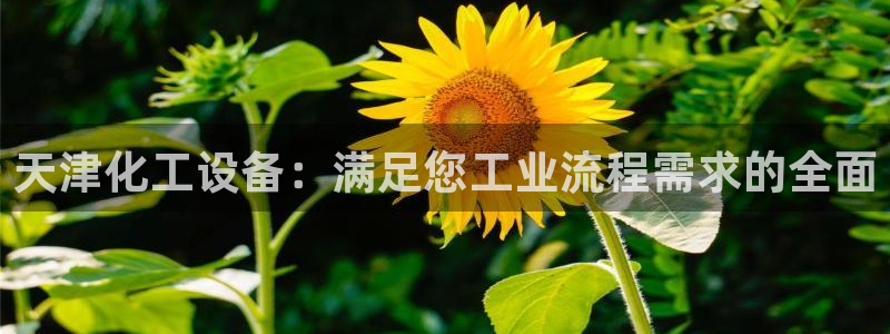 新城平台注册网址