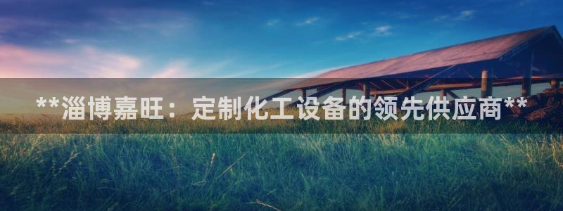 新城平台将7O777：**淄博嘉旺：定制化工设备的