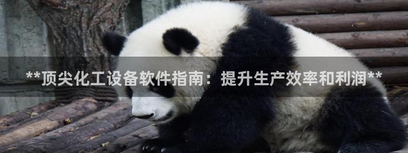 新城平台登录入口官网查询网址