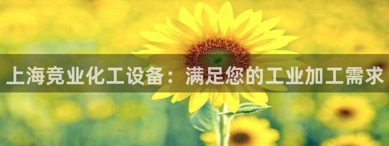 新城平台入.新城平台.全国联网是什么意思：上海竞业