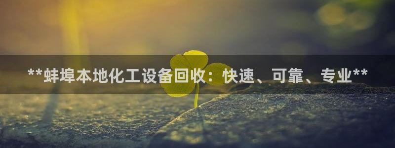 新城平台线路登录不上去怎么回事呀