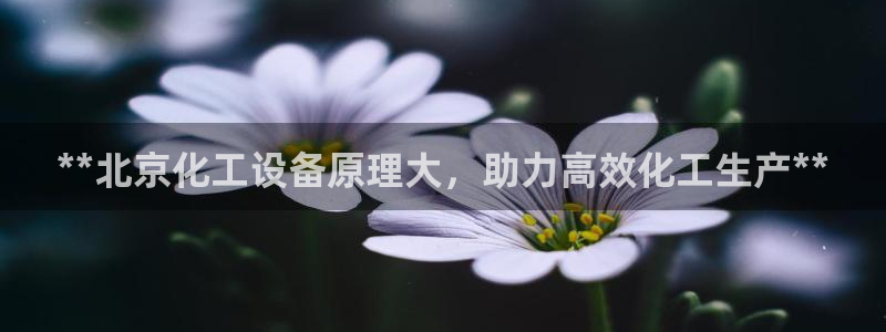 新城平台登录入口官网首页查询