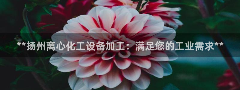 新城平台登录