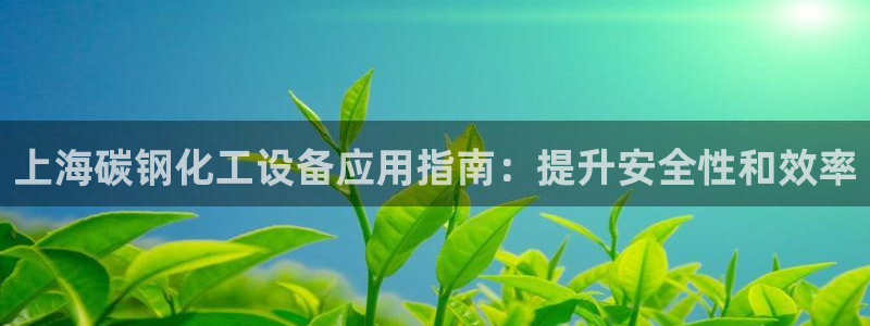 新城平台线路登录不上去了怎么回事：上海碳钢化工设备应用指南：