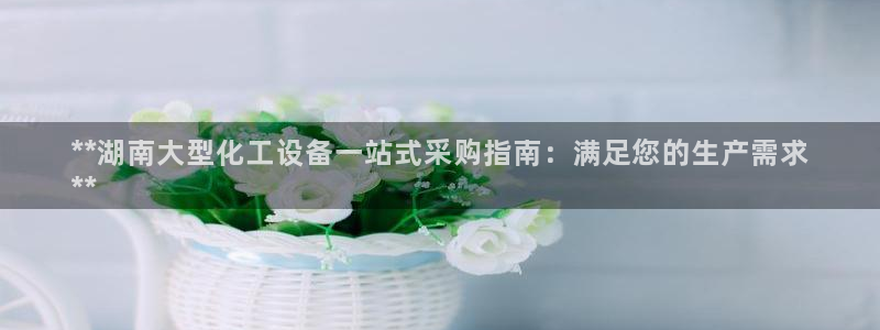 新城平台总代