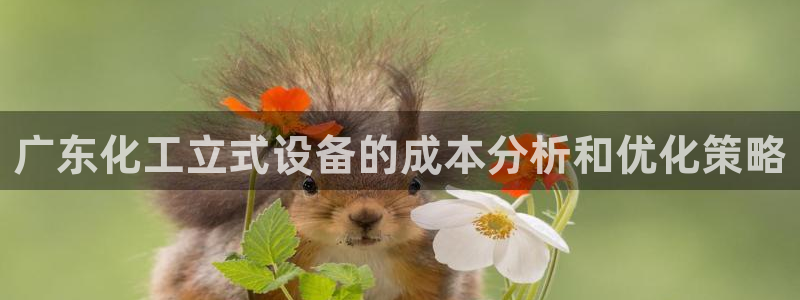 新城平台线路登录不上去了怎么办：广东化工立式设备的成本分析和