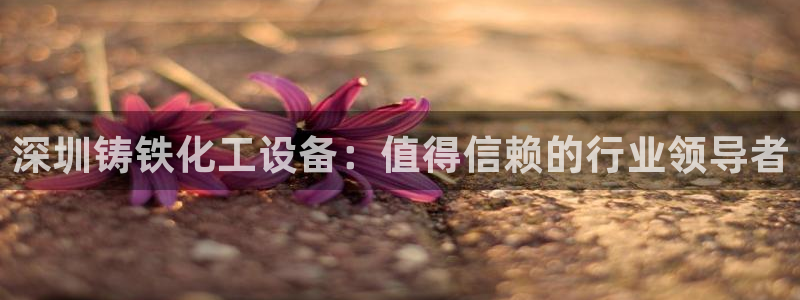 新城平台注册流程：深圳铸铁化工设备：值得信赖的行业