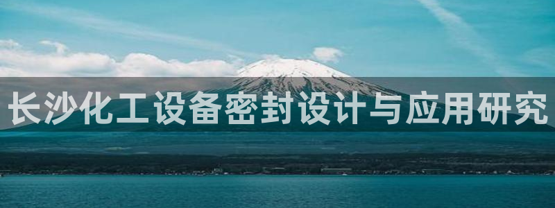 新城平台是干嘛的：长沙化工设备密封设计与应用研究