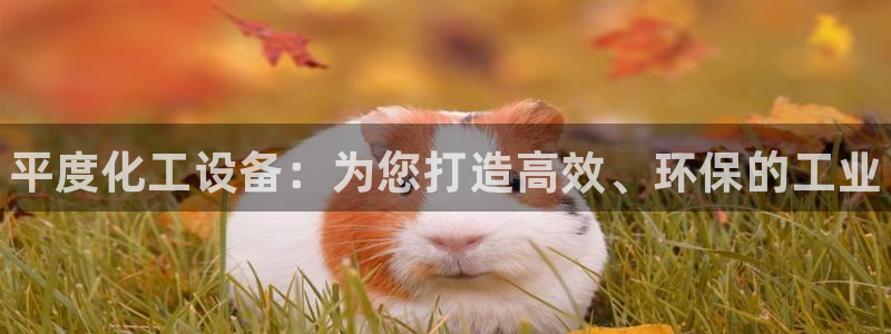 新城平台入.新城平台.全国联网是什么意思