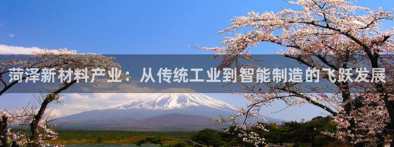 新城平台房7O777：菏泽新材料产业：从传统工业到