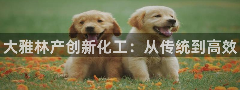 新城平台线路登录不上去