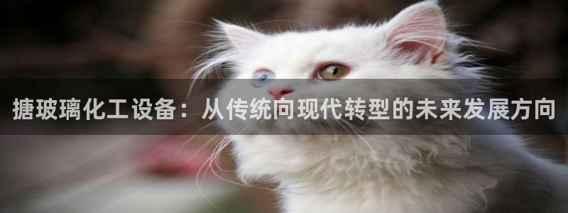 新城平台注册网址是多少