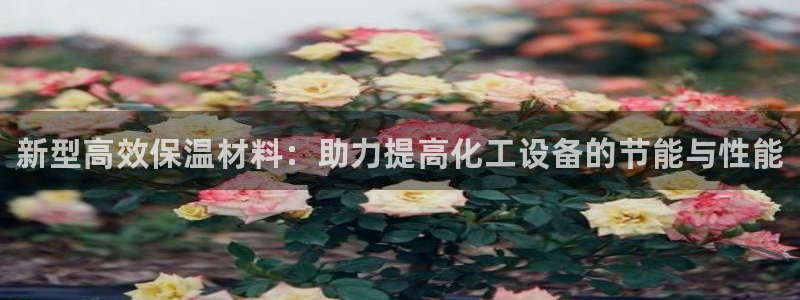 新城平台官网注册入口