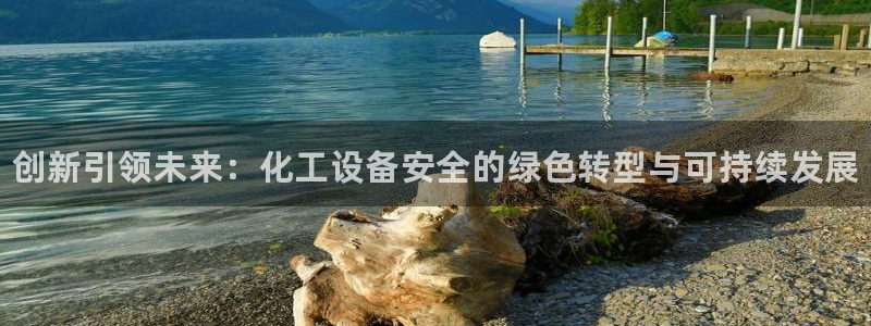 新城平台登录密码忘了怎么办