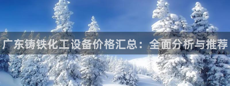 新城平台代理怎么做：广东铸铁化工设备价格汇总：全面