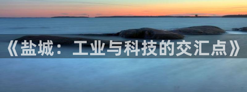 新城平台登录入口官网首页查询
