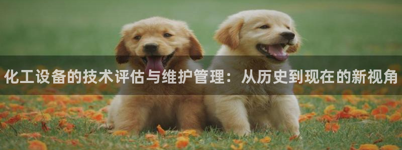 新城平台官网首页网址