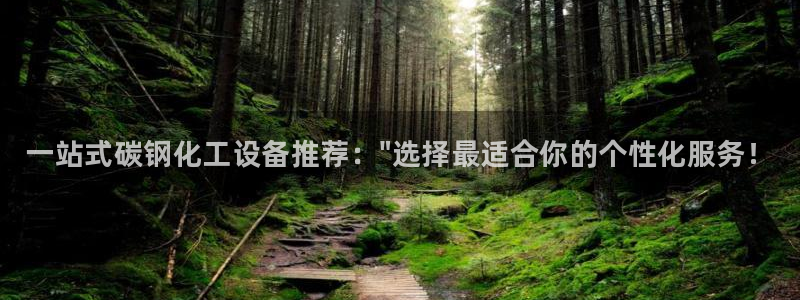 新城平台登录密码忘了怎么改